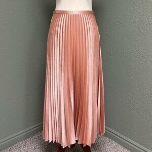 Zara Pleated A-Line Skirt in Blush
